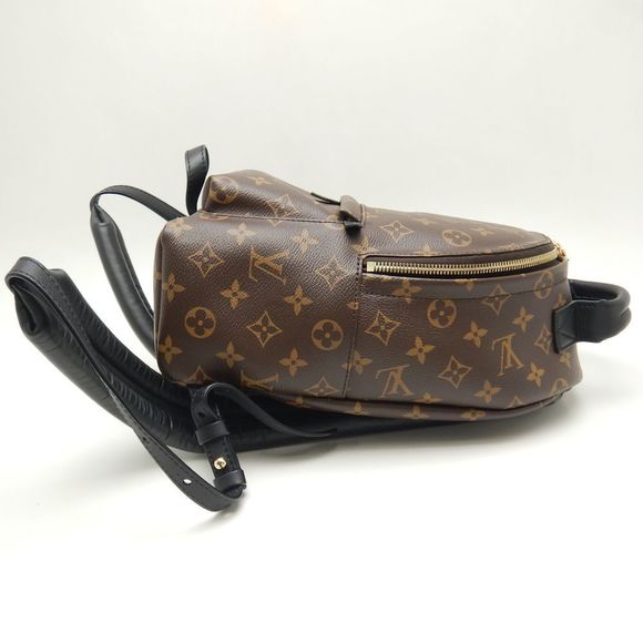 Louis Vuitton Monogram Palm Springs Rucksack Backpack PM Brown - Picture 3 of 8